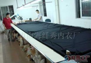 批發(fā)纖誘塑身美體功能內(nèi)衣加工_服裝服飾_世界工廠(chǎng)網(wǎng)中國(guó)產(chǎn)品信息庫(kù)