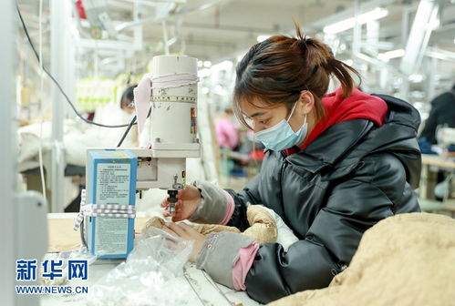 增設(shè)冬季用工崗位 促進農(nóng)民就業(yè)增收