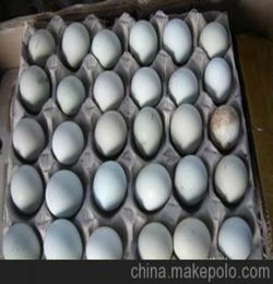 2012优质蛋制品 生鲜蛋类